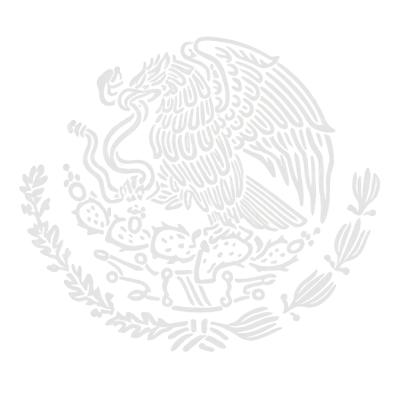 afiliadosmexico.com.mx watermark